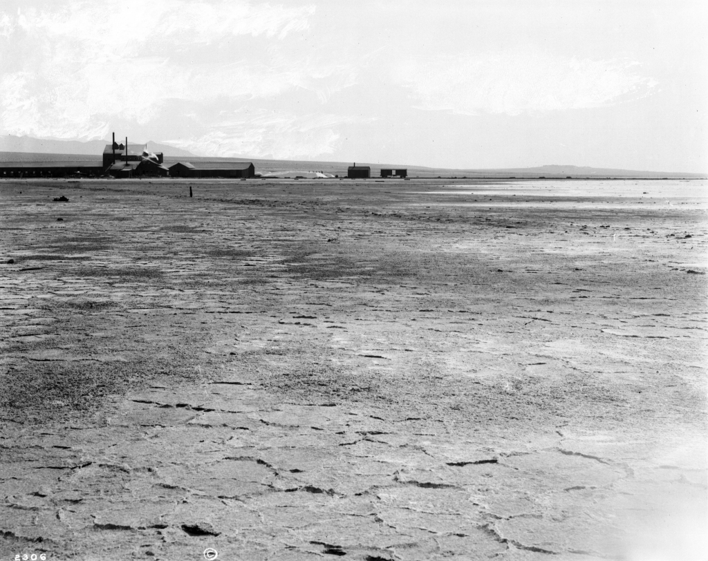 New Liverpool Salt Company - Life of the Salton Sea